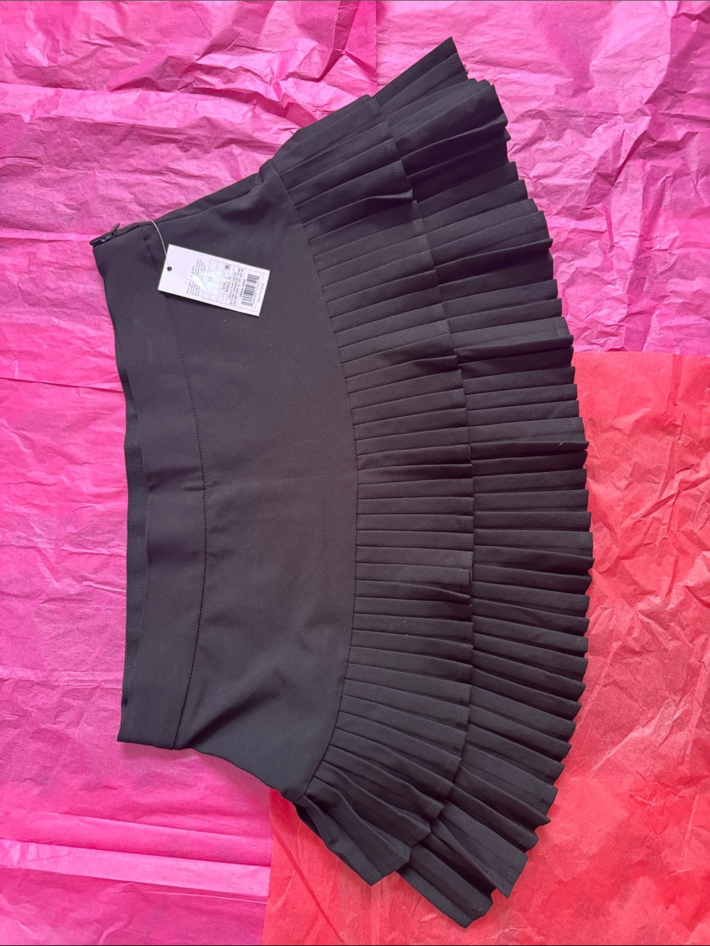 wild fable Black Pleated Mini Skirt